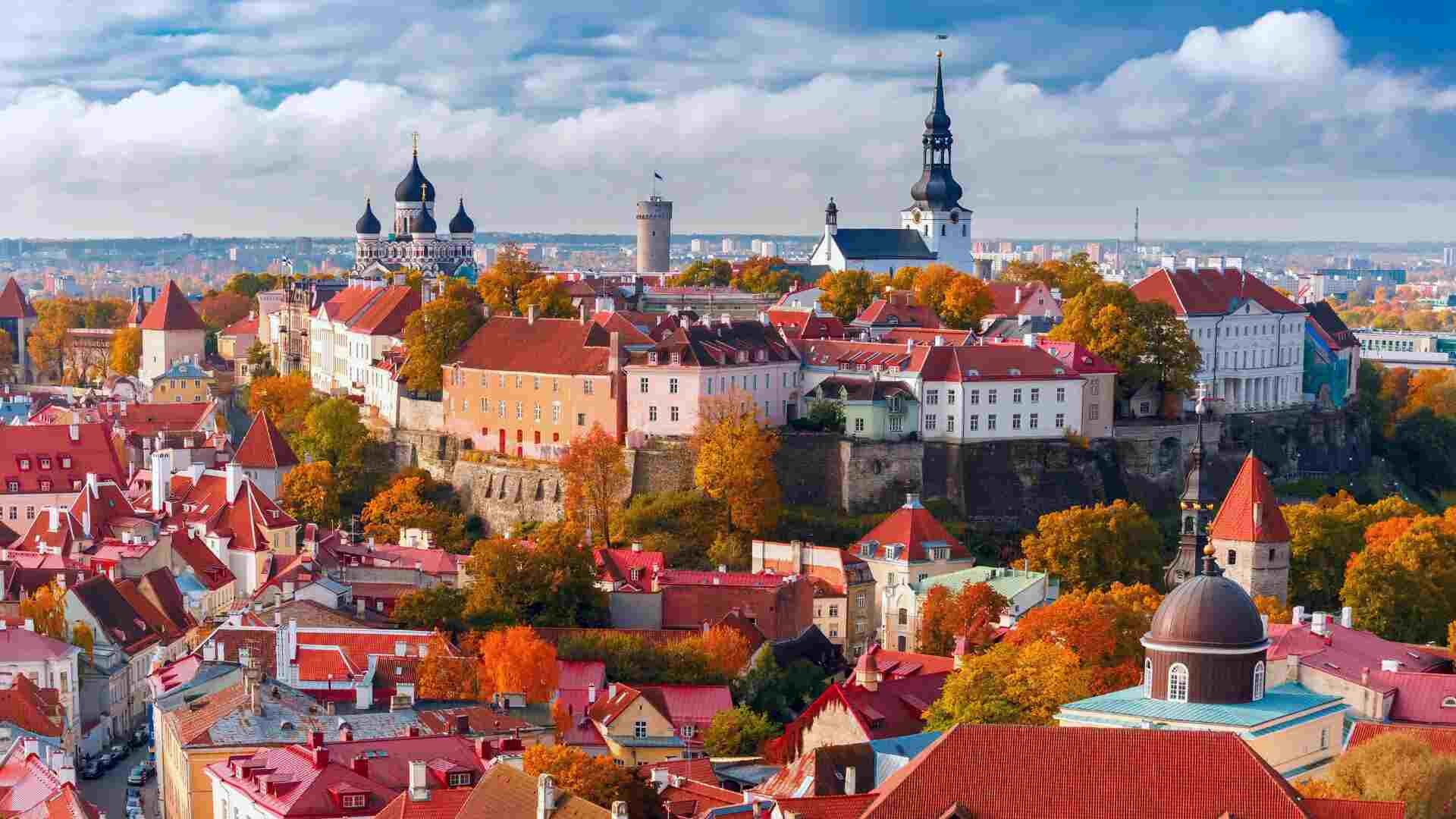 View of terracotta rooftops in Tallinn city centre